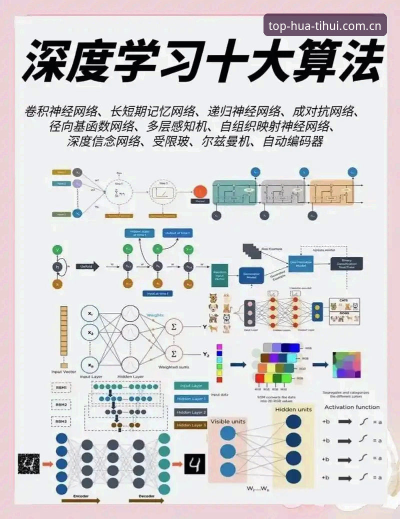 老用户实战经验：华体会下载苹果常见问题解决与使用心得